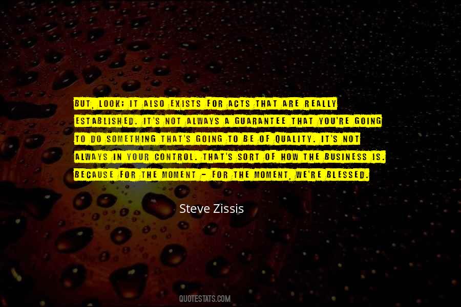 Steve Zissis Quotes #1145776