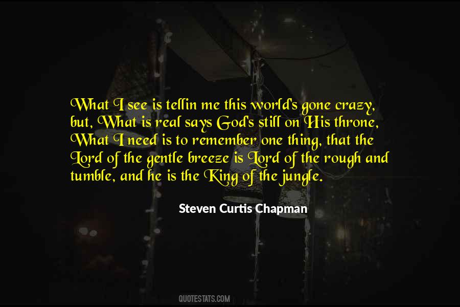 Steven Curtis Chapman Quotes #1215928