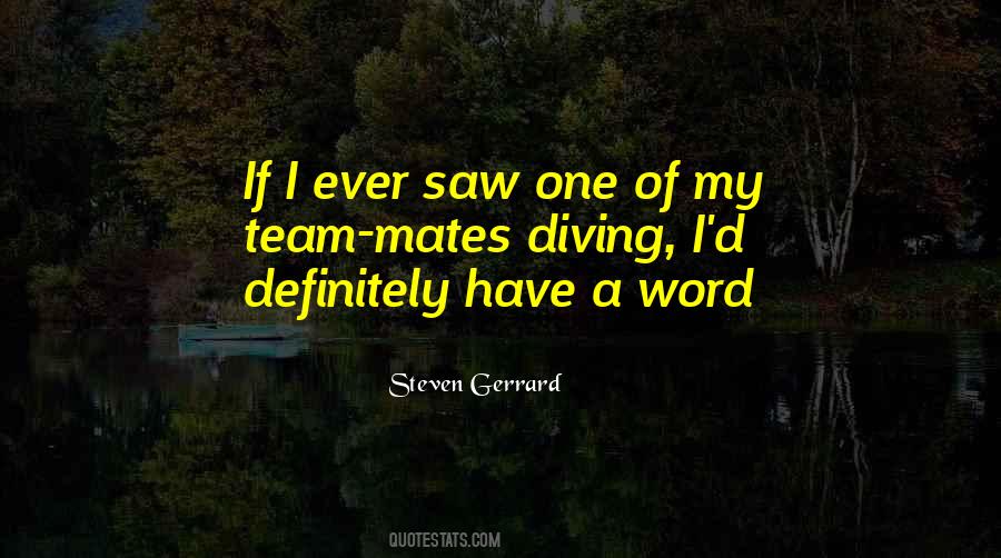 Steven Gerrard Quotes #210775