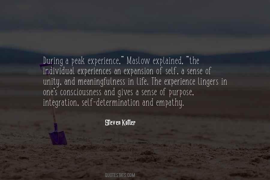 Steven Kotler Quotes #1424943