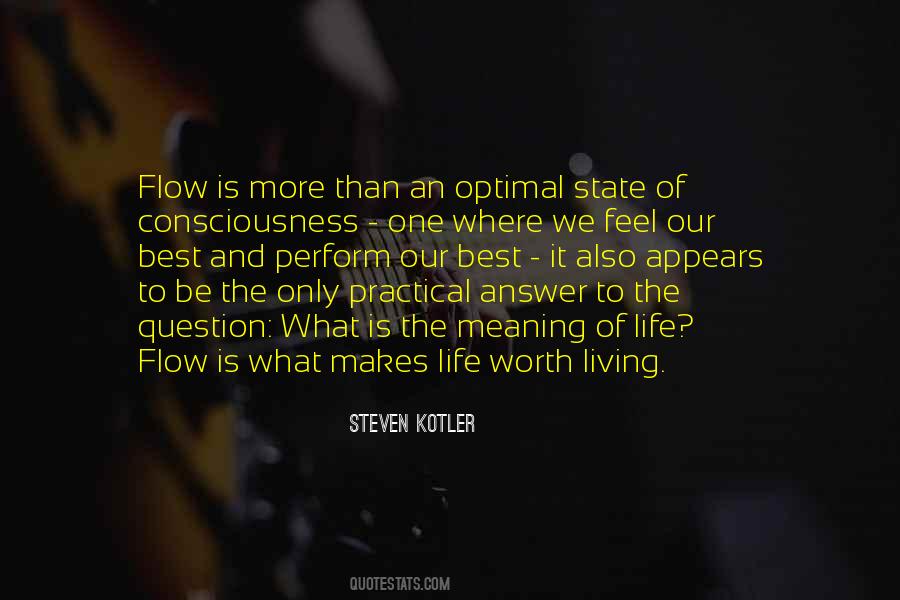 Steven Kotler Quotes #972288