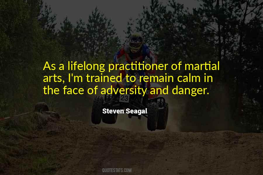 Steven Seagal Quotes #174137