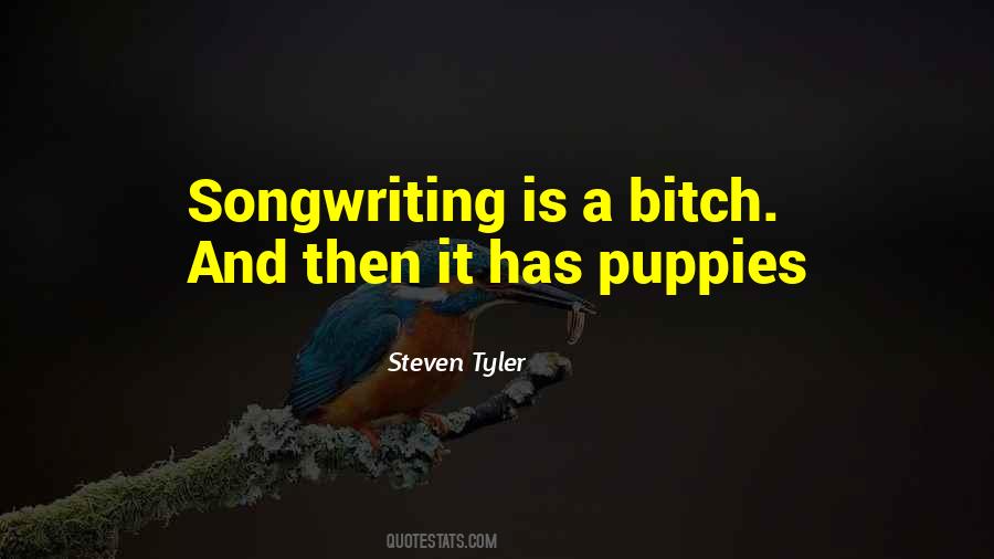 Steven Tyler Quotes #1260881