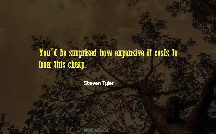 Steven Tyler Quotes #772387