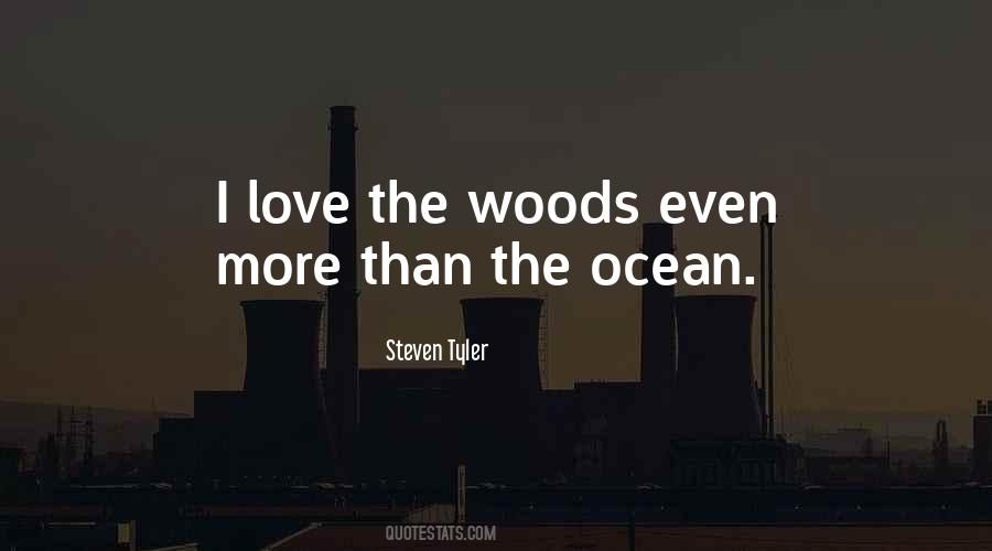 Steven Tyler Quotes #877342