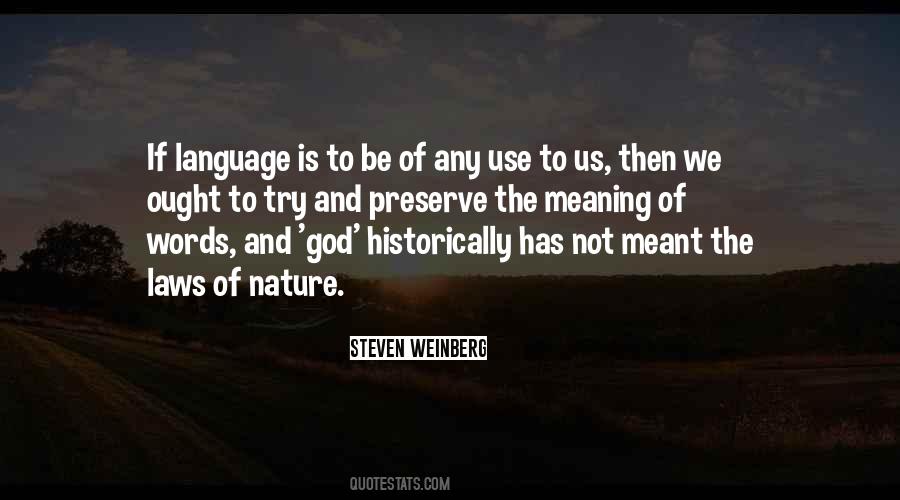 Steven Weinberg Quotes #1399081