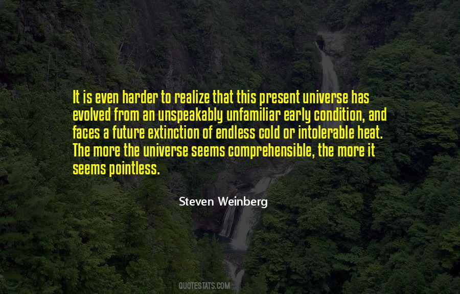 Steven Weinberg Quotes #398682