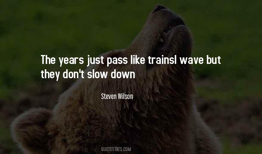 Steven Wilson Quotes #1567828