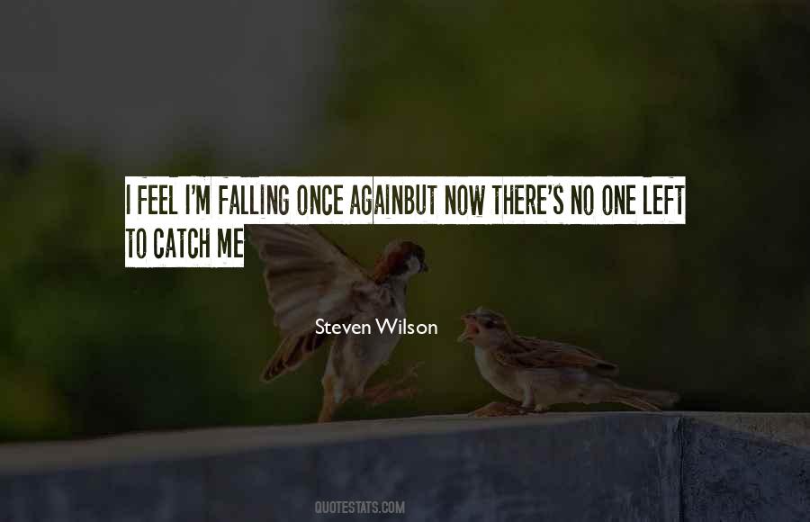 Steven Wilson Quotes #524156