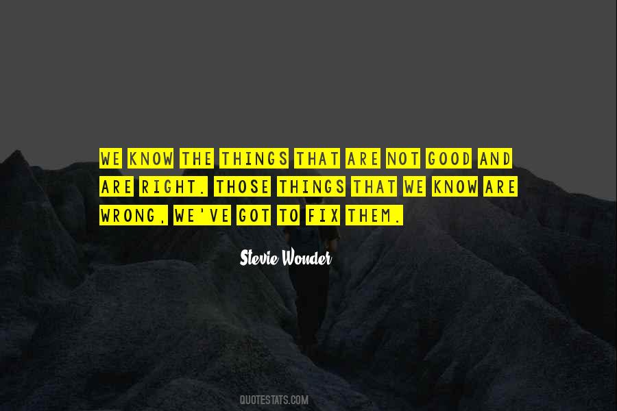 Stevie Wonder Quotes #950687