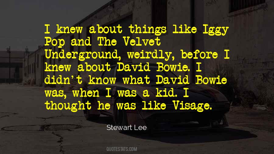 Stewart Lee Quotes #1651627