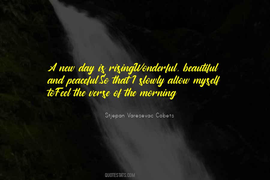 Stjepan Varesevac Cobets Quotes #524379