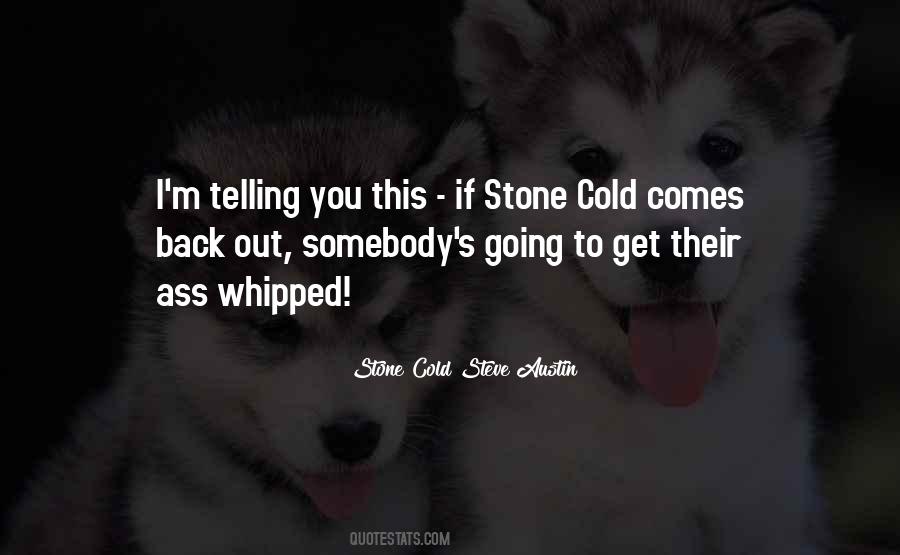 Stone Cold Steve Austin Quotes #410030