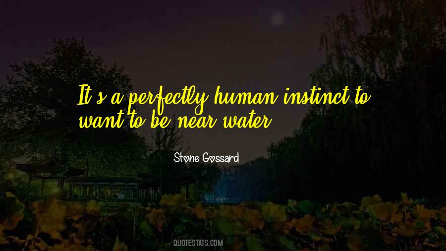 Stone Gossard Quotes #1076372