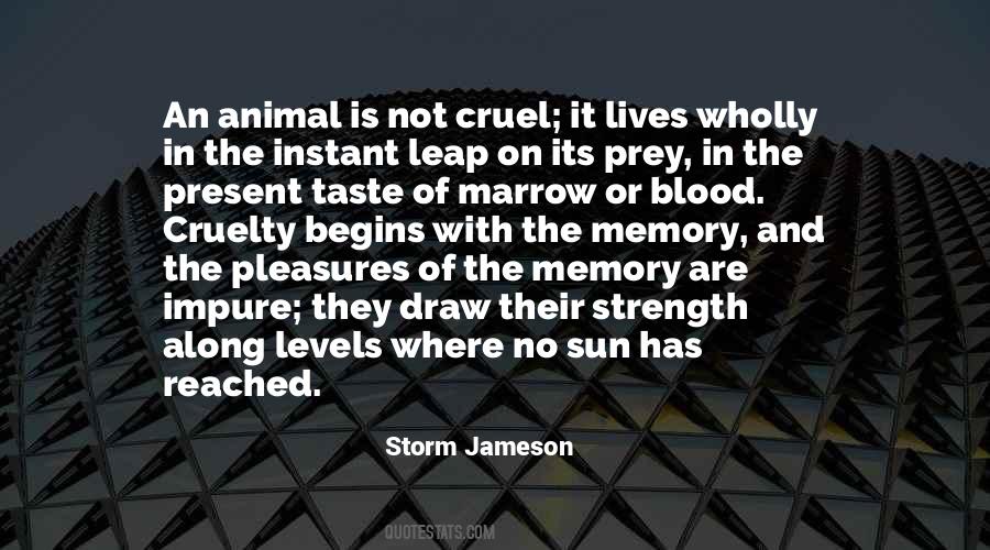 Storm Jameson Quotes #613172