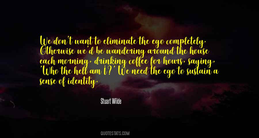 Stuart Wilde Quotes #1618869