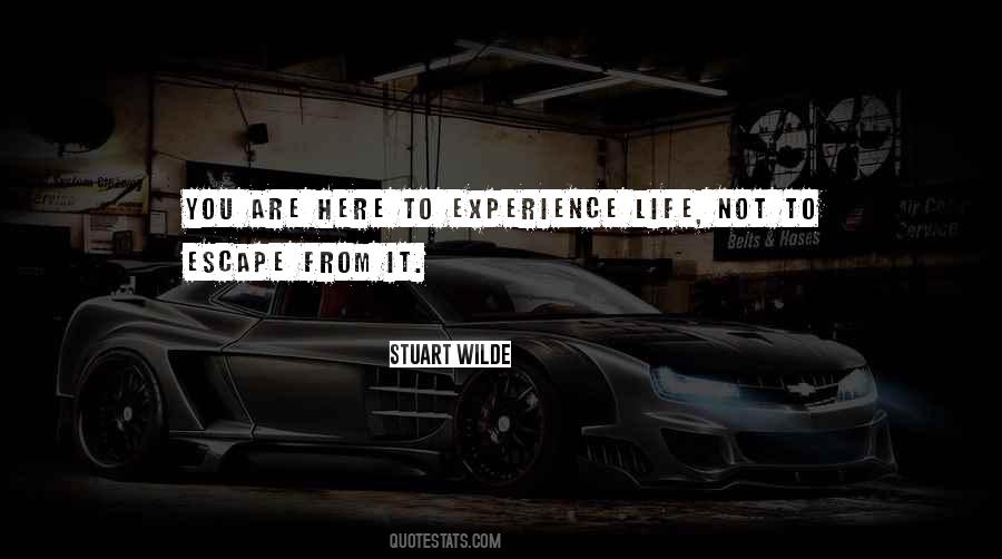 Stuart Wilde Quotes #323112