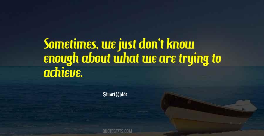 Stuart Wilde Quotes #507049