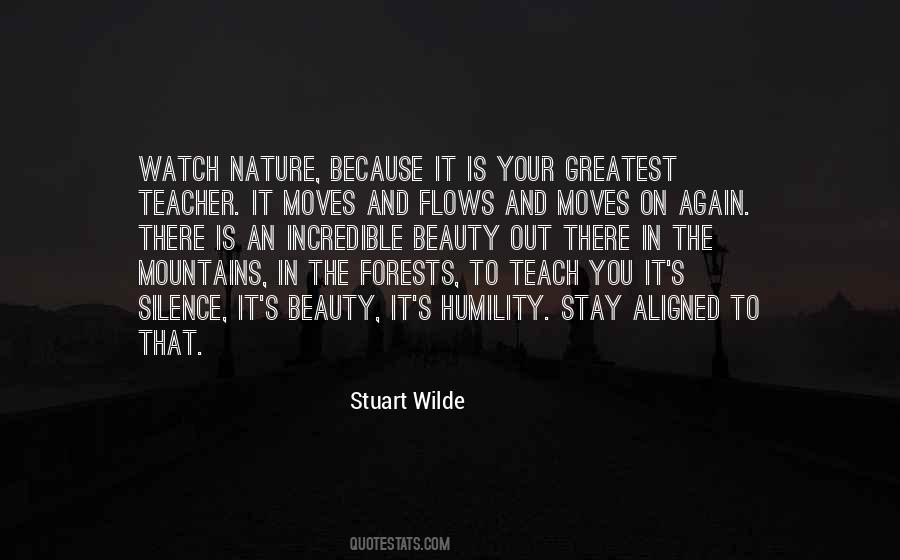Stuart Wilde Quotes #558784