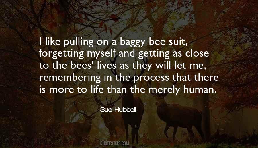 Sue Hubbell Quotes #160293