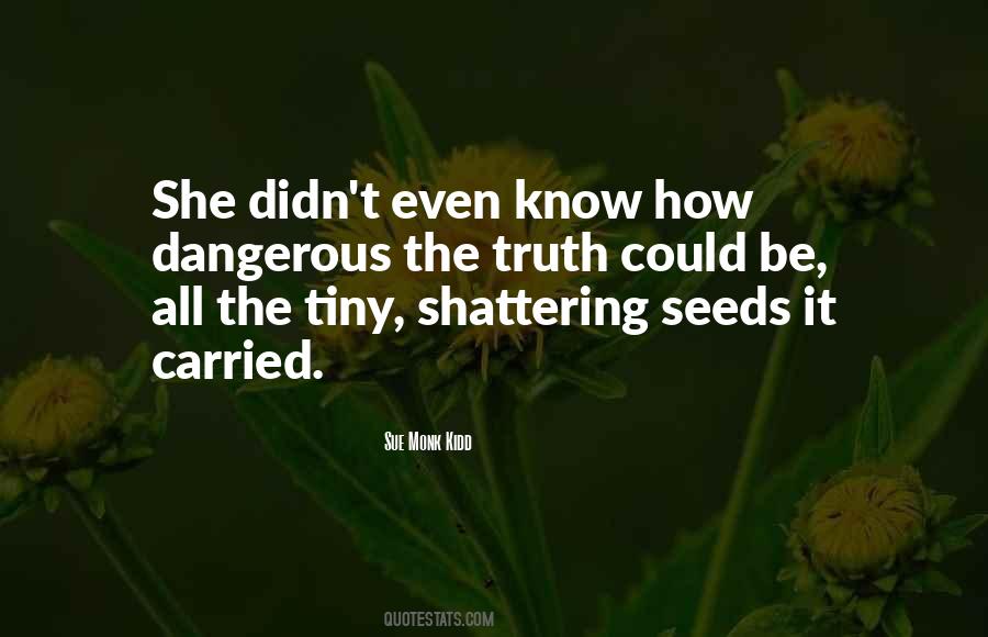 Sue Monk Kidd Quotes #1316290