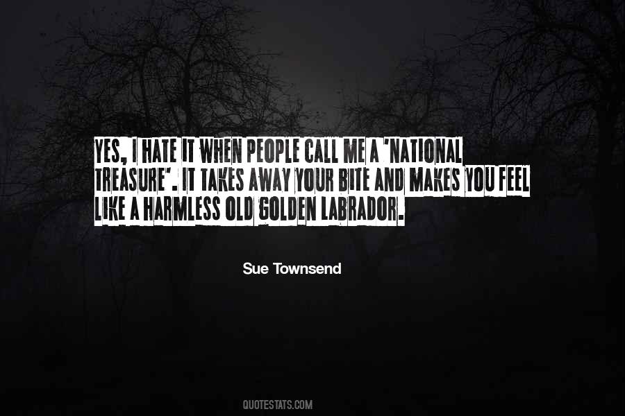 Sue Townsend Quotes #1155599