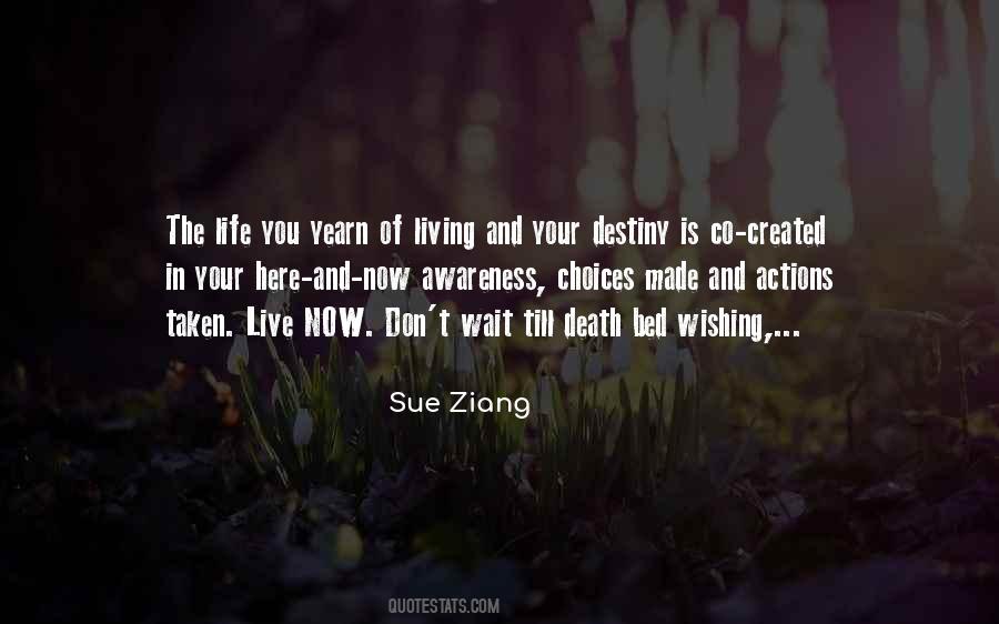 Sue Ziang Quotes #1542577