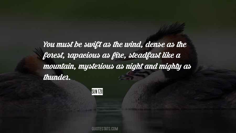 Sun Tzu Quotes #37022