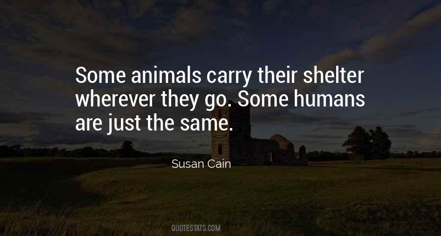 Susan Cain Quotes #639279