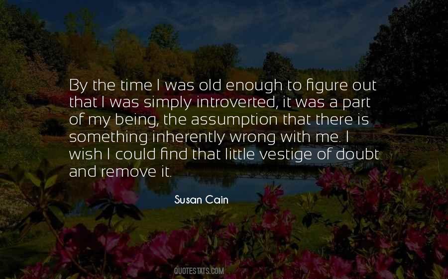 Susan Cain Quotes #706881