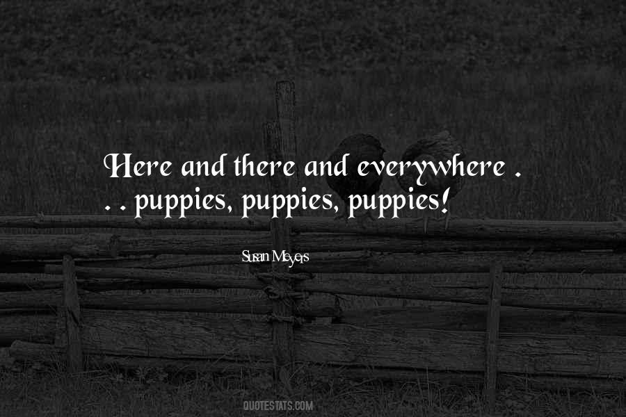 Susan Meyers Quotes #1696824