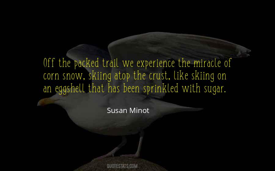Susan Minot Quotes #1677574