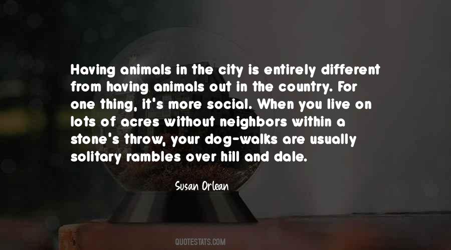 Susan Orlean Quotes #1226067