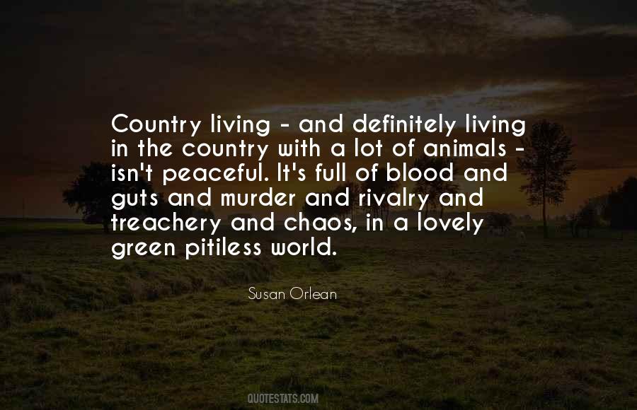 Susan Orlean Quotes #1542451