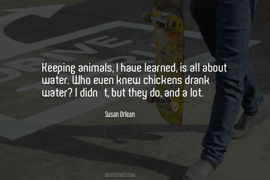 Susan Orlean Quotes #186741