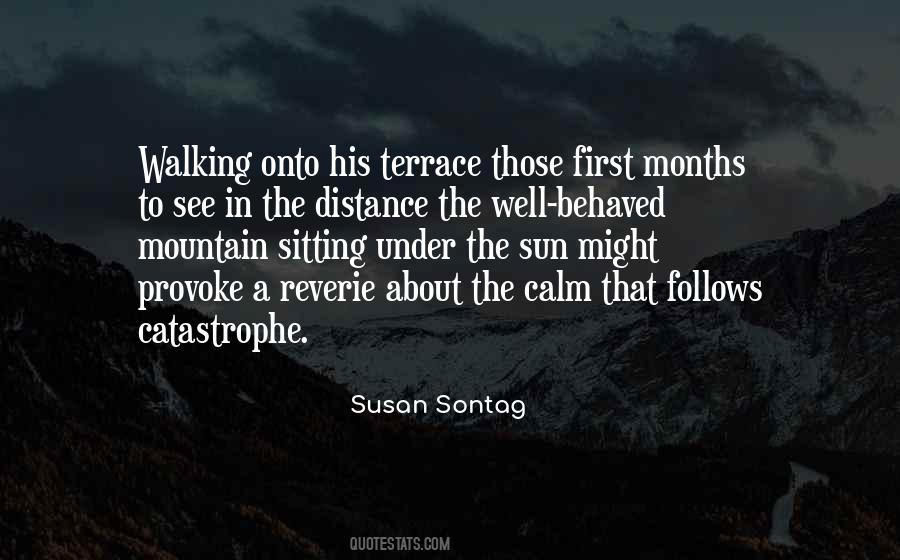 Susan Sontag Quotes #1544748