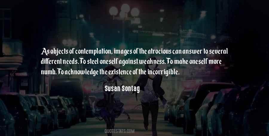 Susan Sontag Quotes #609636