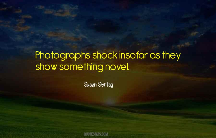Susan Sontag Quotes #69999