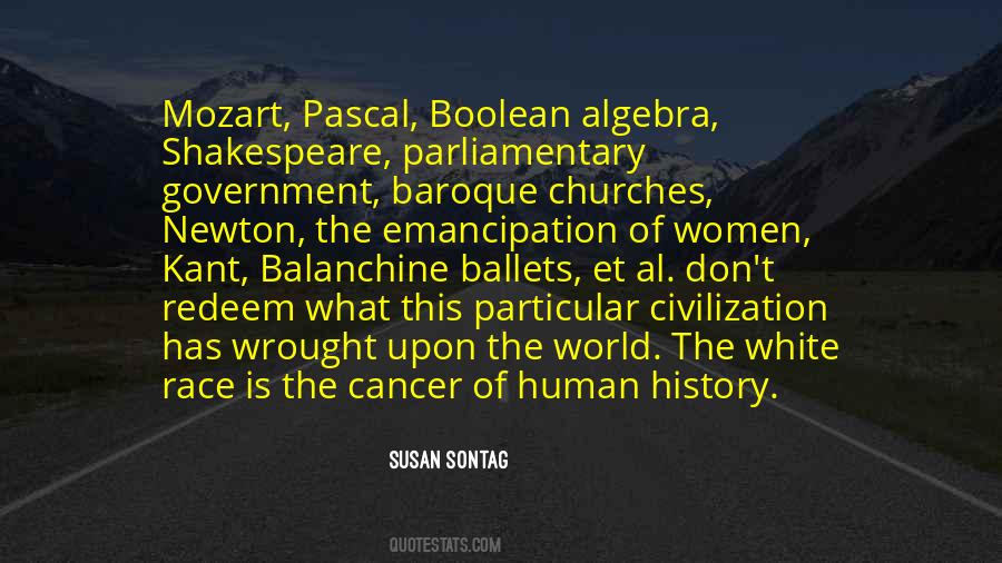 Susan Sontag Quotes #8967