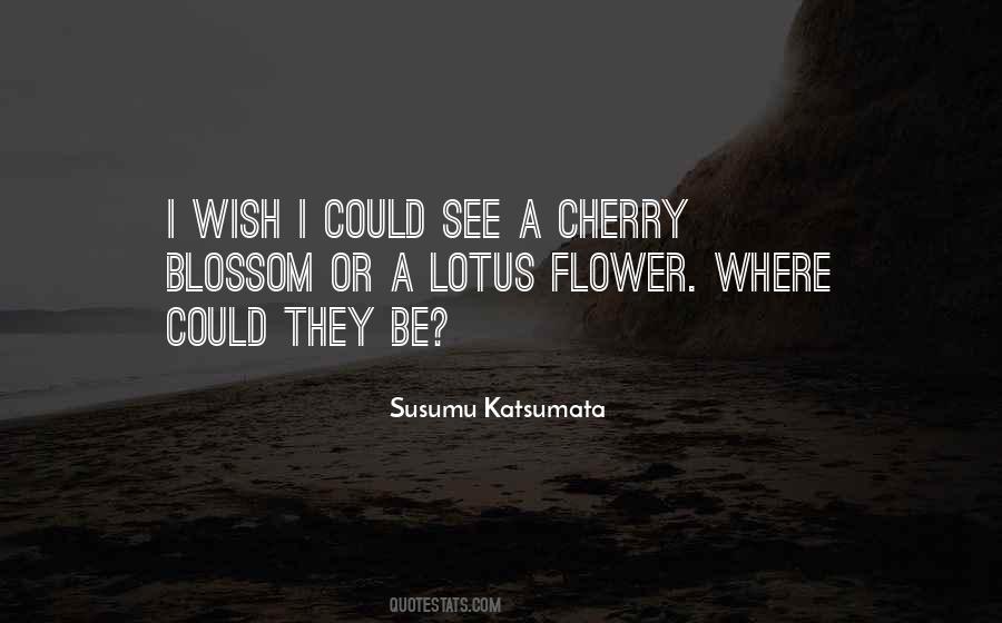 Susumu Katsumata Quotes #1704794
