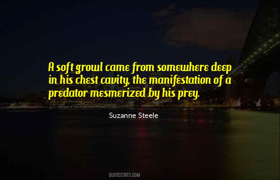 Suzanne Steele Quotes #148586