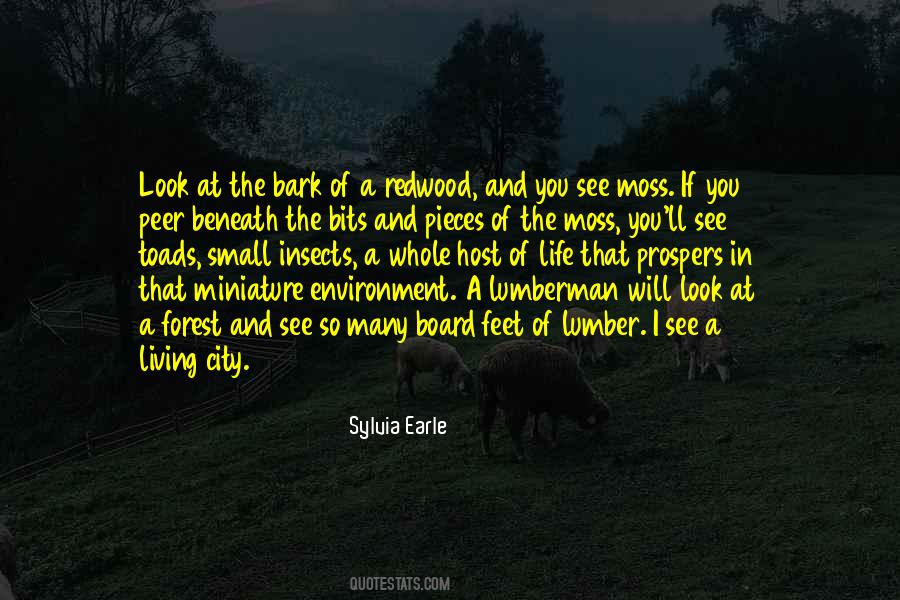 Sylvia Earle Quotes #1390609