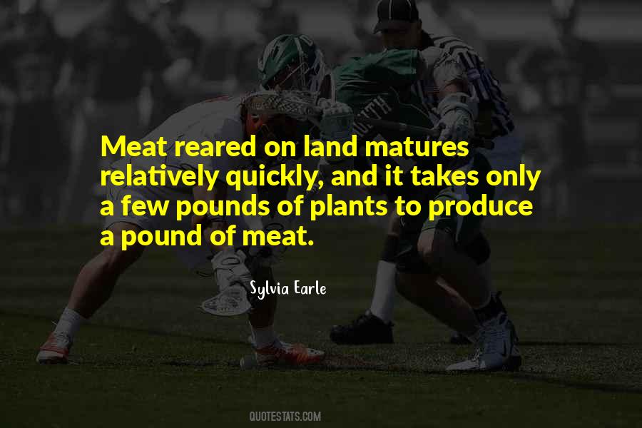 Sylvia Earle Quotes #1593841