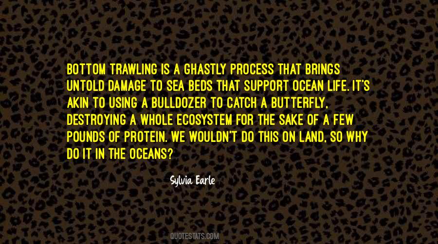 Sylvia Earle Quotes #1606479