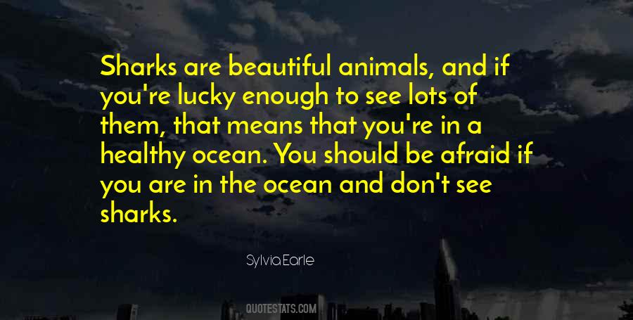 Sylvia Earle Quotes #847039