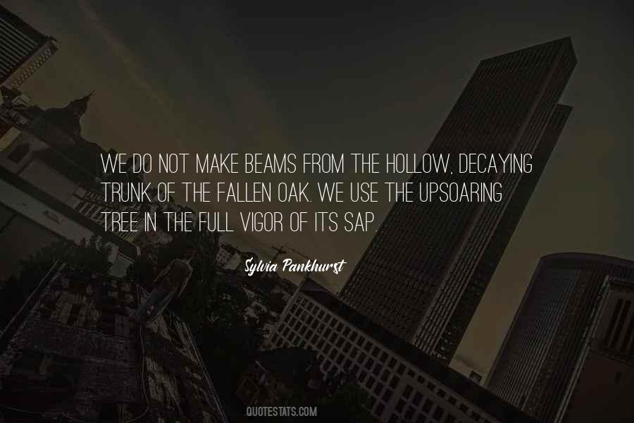 Sylvia Pankhurst Quotes #1863201