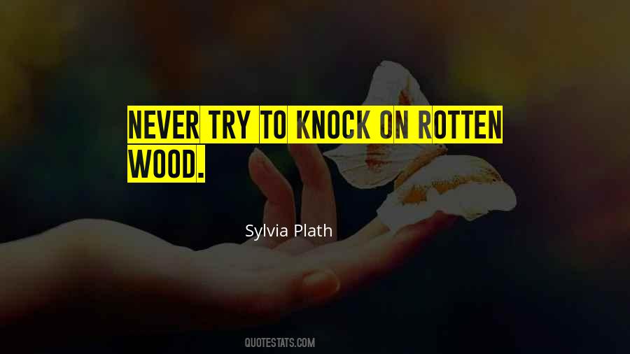 Sylvia Plath Quotes #1187854