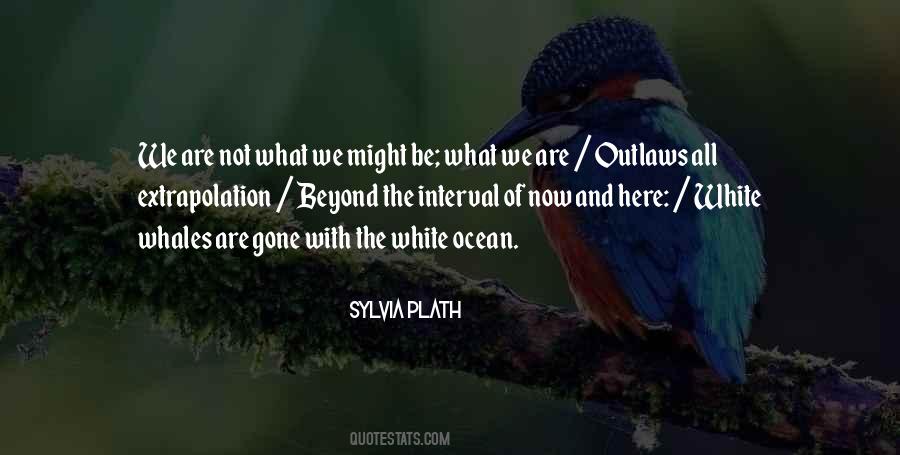 Sylvia Plath Quotes #851569