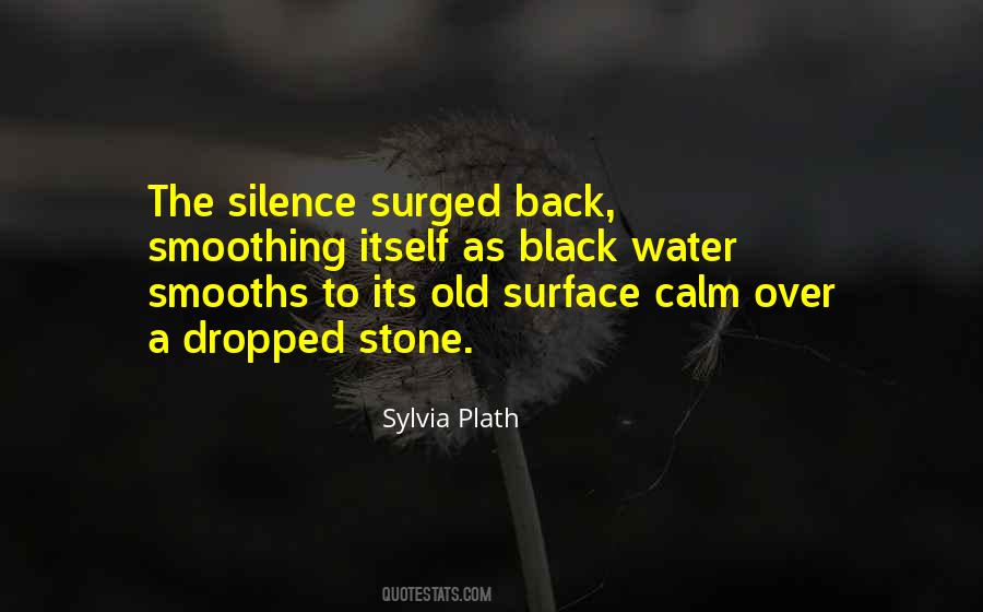 Sylvia Plath Quotes #991578