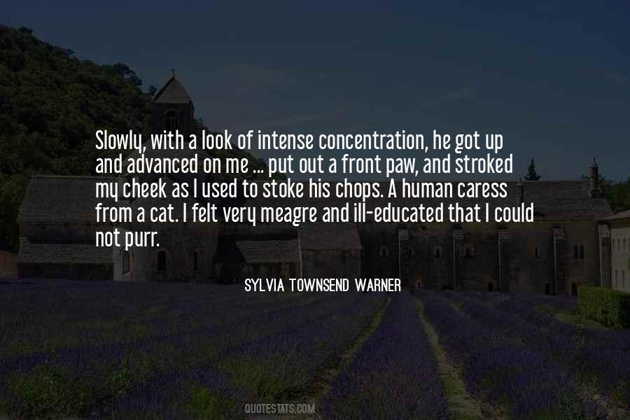 Sylvia Townsend Warner Quotes #795282